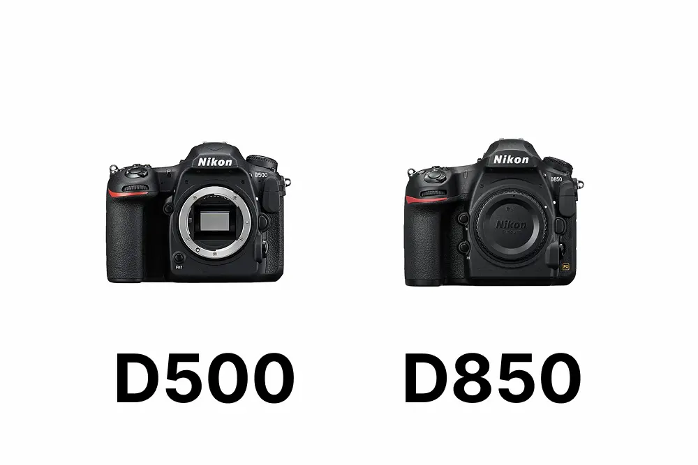 Nikon D850におすすめのレンズ8選 レンズキットから最強クラス